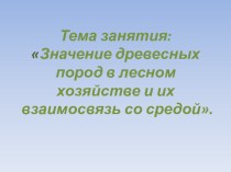 Презентация к бинарному практико-ориентированному уроку