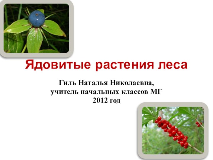 Ядовитые растения лесаГиль Наталья Николаевна,учитель начальных классов МГ2012 год
