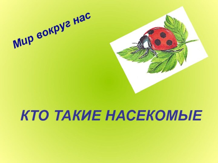 КТО ТАКИЕ НАСЕКОМЫЕМир вокруг нас