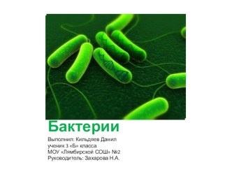 Презентация к проекту Бактерии