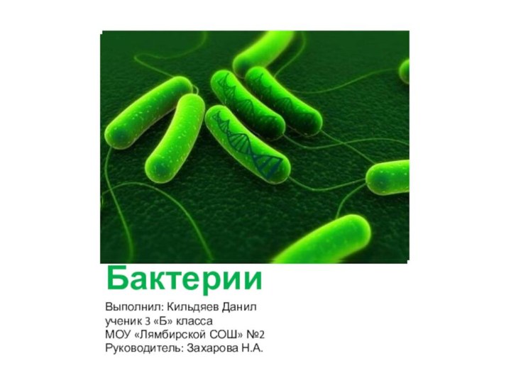 БактерииВыполнил: Кильдяев Данилученик 3 «Б» классаМОУ «Лямбирской СОШ» №2Руководитель: Захарова Н.А.