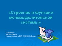 Презентация по биологии на тему Эволюция мочевыделительной системы