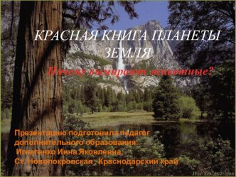 ПрезентацияКРАСНАЯ КНИГА ПЛАНЕТЫ ЗЕМЛЯ