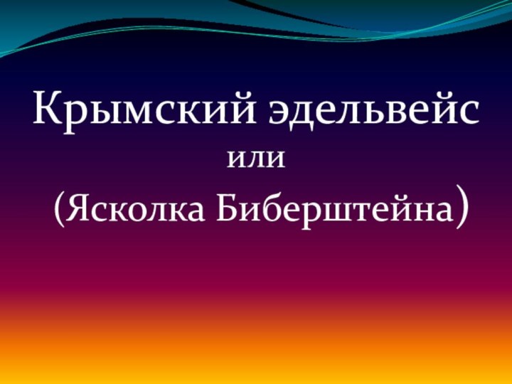 Крымский эдельвейсили (Ясколка Биберштейна)