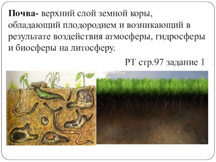 Презентация на тему плодородие почвы