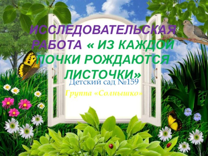 Исследовательская работа « Из каждой почки рождаются листочки»Детский сад №159 Группа «Солнышко»