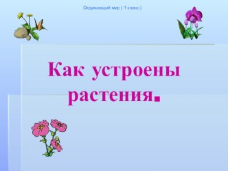 Презентация по окружающему миру Как устроены растения 1 класс