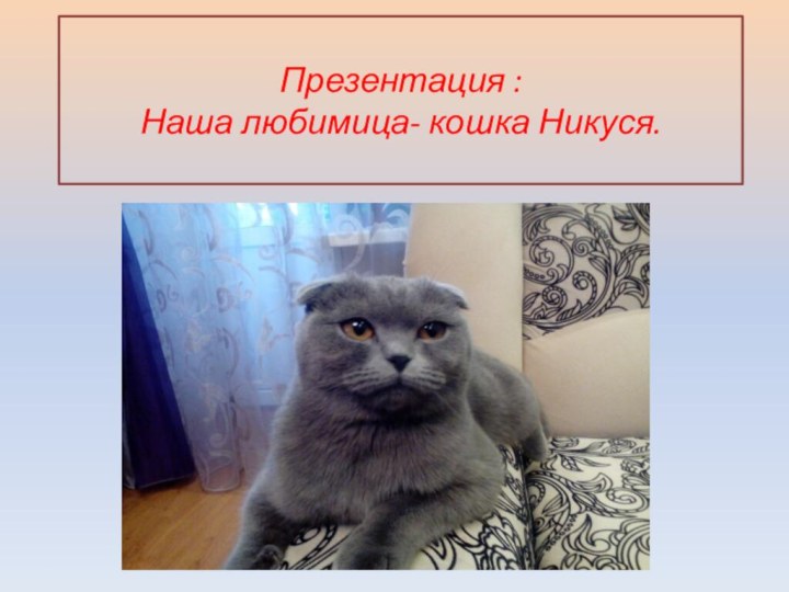 Презентация : Наша любимица- кошка Никуся.