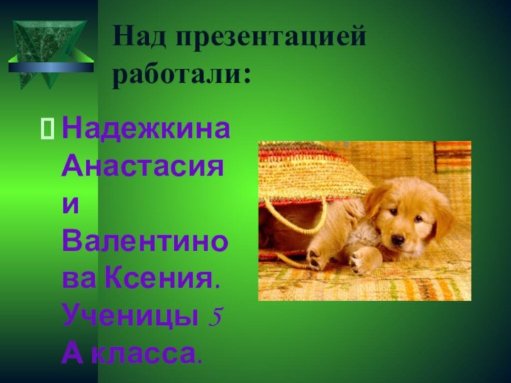 Над презентацией работали:Надежкина Анастасия и Валентинова Ксения. Ученицы 5 А класса.