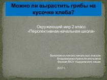 Презентация по окружающему миру на тему: Можно ли вырастить грибы на кусочке хлеба (2 класс)