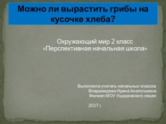 Презентация по окружающему миру на тему: Можно ли вырастить грибы на кусочке хлеба (2 класс)