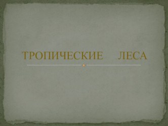 Презентация по окружающему миру на тему Тропические леса 2 класс