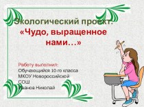 Экологический проект на тему Чудо выращенное нами