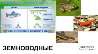 Материалы к уроку: ЗЕМНОВОДНЫЕ