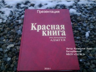 Красная книга. Республика Адыгея.