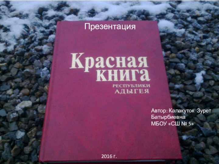 ПрезентацияАвтор: Калакуток Зурет БатырбиевнаМБОУ «СШ № 5»2016 г.