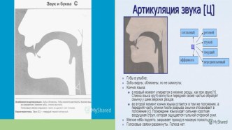 Презентация по развитию речевого слуха и формированию произносительной стороны устной речи.