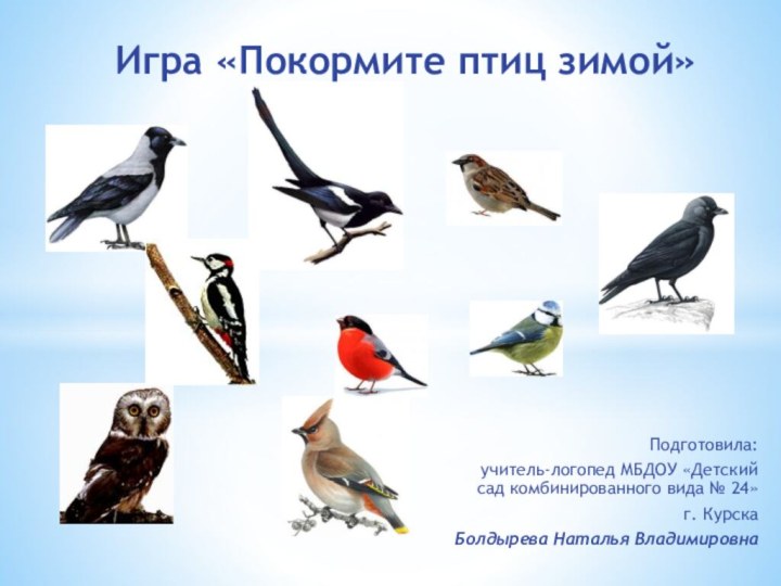 Подготовила:учитель-логопед МБДОУ «Детский сад комбинированного вида № 24» г. КурскаБолдырева Наталья ВладимировнаИгра «Покормите птиц зимой»