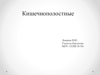 Презентация по биологии на тему Кишечнополостные