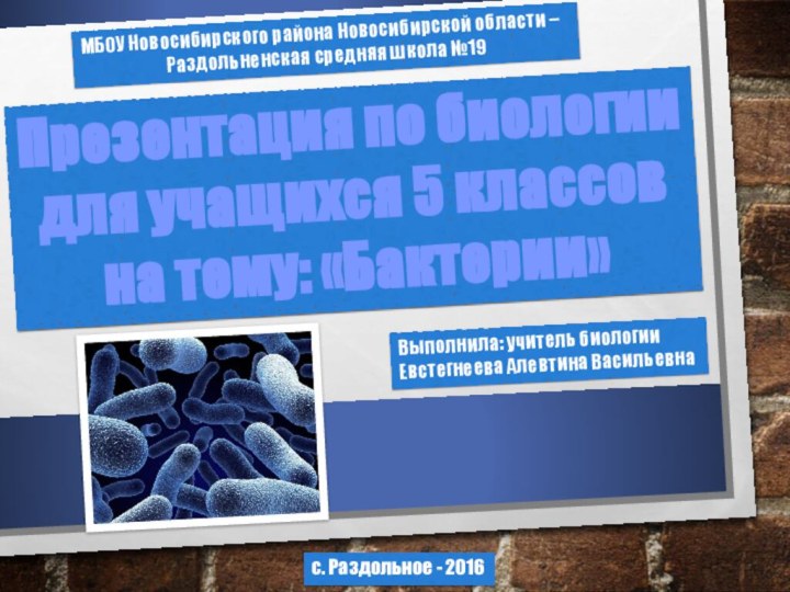 Презентация по биологии для учащихся 5 классовна тему: «Бактерии»МБОУ Новосибирского района Новосибирской