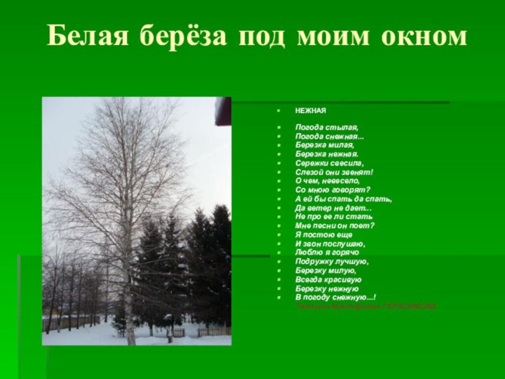 Белая берёза под моим окномНЕЖНАЯ Погода стылая, Погода снежная... Березка милая, Березка