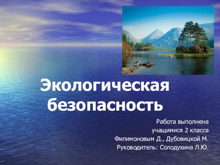 Экологическая безопасностьРабота выполнена учащимися 2 класса Филимоновым Д., Дубовицкой М.Руководитель: Солодухина Л.Ю.