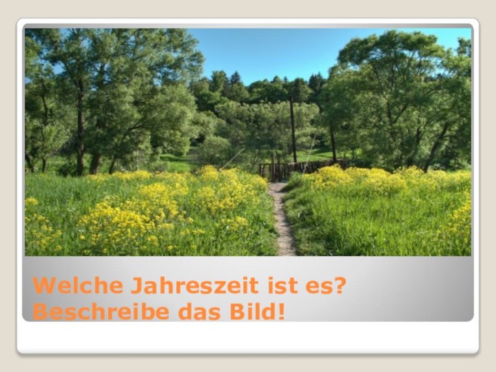 Welche Jahreszeit ist es? Beschreibe das Bild!