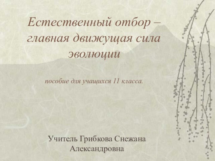 Естественный отбор – главная движущая сила эволюции  пособие для учащихся 11 класса.Учитель Грибкова Снежана Александровна