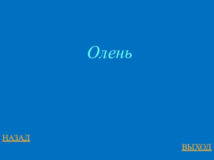 НАЗАДВЫХОДОлень