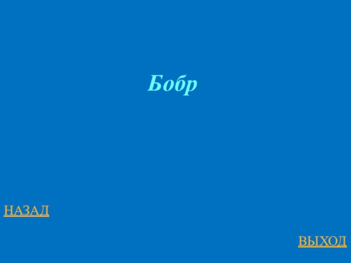 НАЗАДВЫХОДБобр