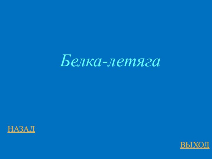 НАЗАДВЫХОДБелка-летяга
