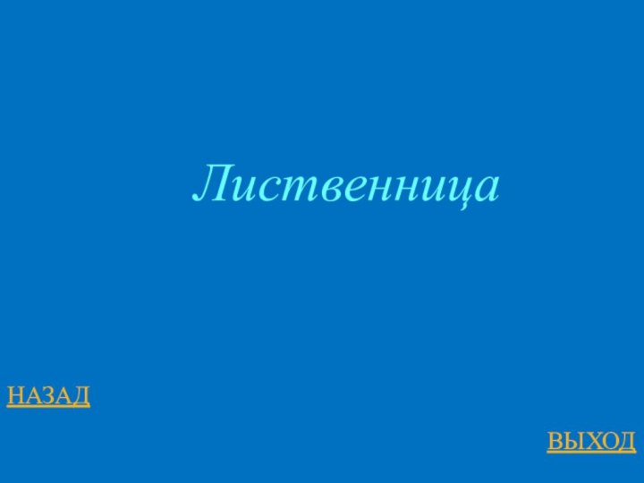 НАЗАДВЫХОДЛиственница
