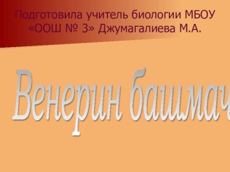 Презентация по окружающему миру на тему Растения ( 3 класс)