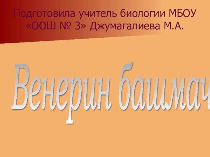 Подготовила учитель биологии МБОУ «ООШ № 3» Джумагалиева М.А.Венерин башмачок