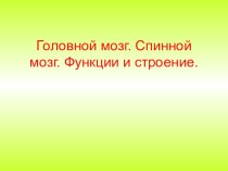 Презентация по биологии на темуГоловной мозг.Спинной мозг(8 класс)