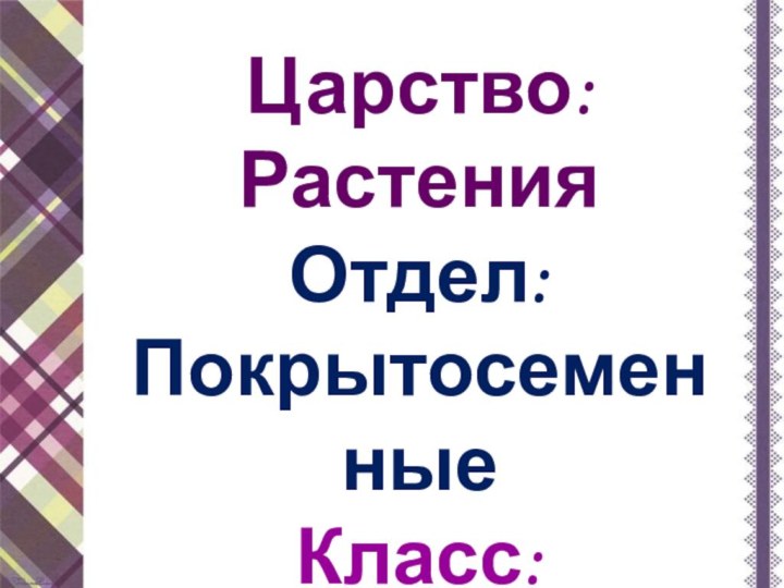 Царство: РастенияОтдел: Покрытосеменные Класс: ДвудольныеСемейство:…