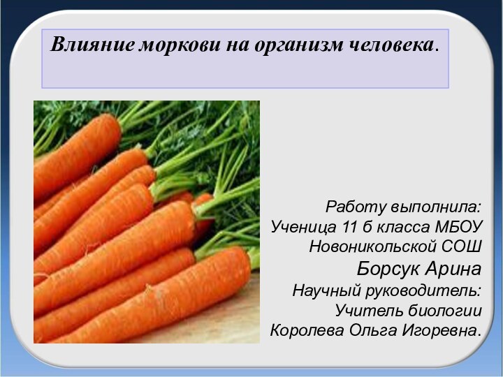 Работу выполнила: Ученица 11 б класса МБОУ Новоникольской СОШ Борсук Арина Научный