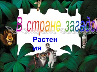 Презентация по окружающему миру на тему Загадки о растениях