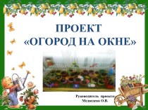 Презентация Огород на окне