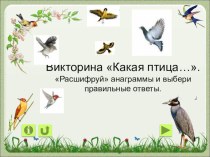 ПрезентацияЗнаешь ли ты птиц?