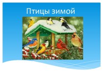 Презентация по окружающему миру на тему Птицы зимой (1 класс)