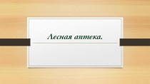 Презентация по окружающему миру на тему Лесная аптека