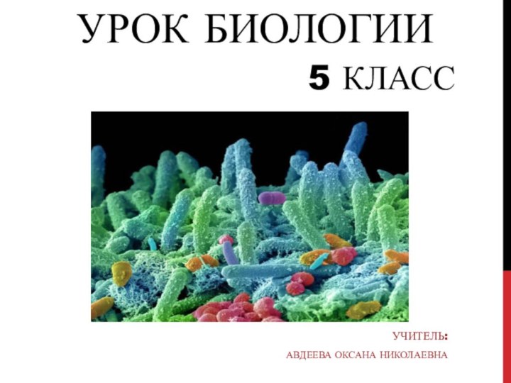 УРОК БИОЛОГИИУчитель: Авдеева Оксана Николаевна5 класс