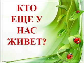 Кто еще у нас живет? Какие бывают животные.