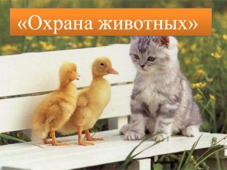 Презентация по окружающему миру Охрана животных(3 класс)