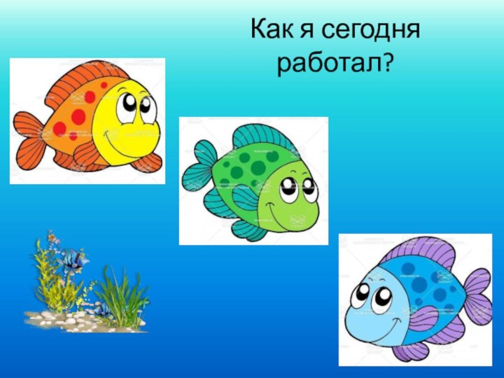 Как я сегодня работал?