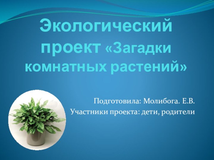 Экологический проект «Загадки комнатных растений»Подготовила: Молибога. Е.В. Участники проекта: дети, родители