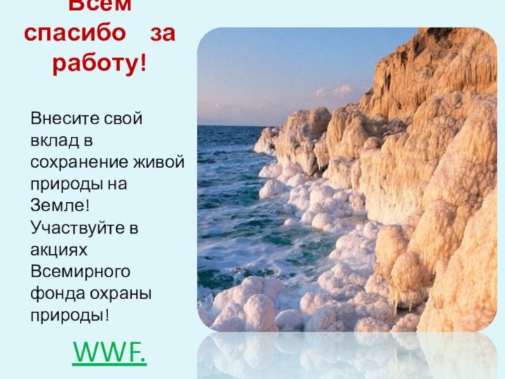 Всем спасибо  за работу!Внесите свой вклад в сохранение живой природы на