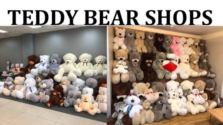 Teddy bear shops