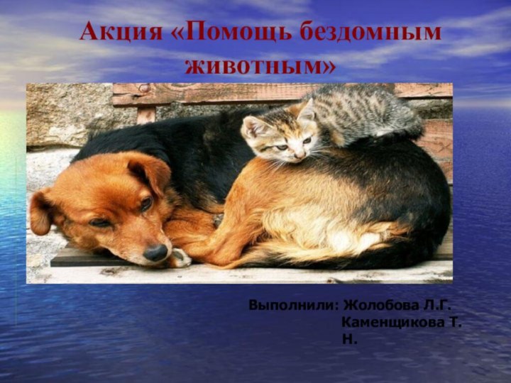 Акция «Помощь бездомным животным»Выполнили: Жолобова Л.Г.
